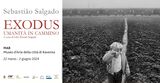 “Exodus. Umanità in cammino”: Salgado in mostra al MAR di Ravenna