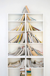 Natale 2013: i libri più venduti negli ultimi mesi, recensiti su SoloLibri.net