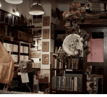 Scattisparsi: una libreria indipendente a Ravenna illumina di cultura e storia