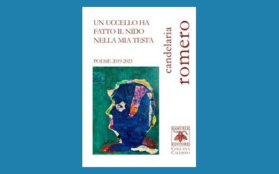 Un uccello ha fatto il nido nella mia testa