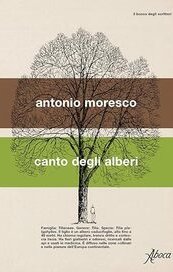 Canto degli alberi