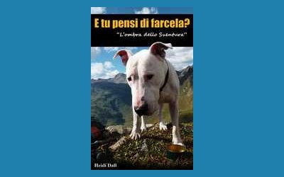 L'ombra dello Sventura (E tu pensi di farcela?)