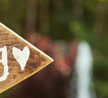 Frasi auguri matrimonio: i migliori pensieri romantici, divertenti e le più belle citazioni