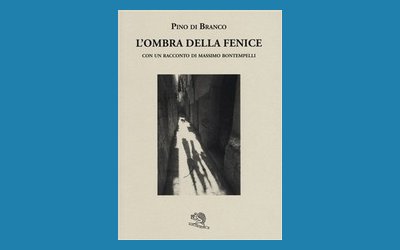 L'ombra della fenice - Pino