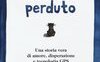 All'inseguimento del gatto perduto