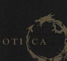 "Gotica": la nuova Collana Skira