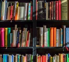Giornata Internazionale della Bibliodiversità: cos'è e quando si festeggia