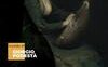 Concerto in nero. Dieci voci di donne dal Rinascimento