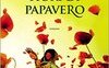 L'anno dei fiori di papavero