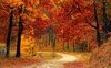 Equinozio d'autunno: quando cade quest'anno e cos'è