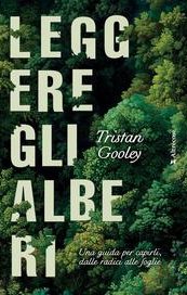Leggere gli alberi