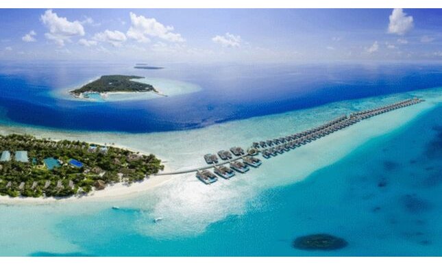 Libraio alle Maldive cercasi: ecco il lavoro dei sogni