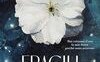 Fragili scintille