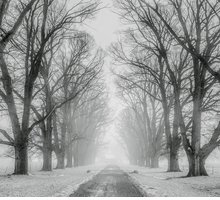 “Svegliarsi in inverno”: il gelo dell'anima nella poesia di Sylvia Plath