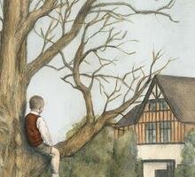 Il bambino sull'albero