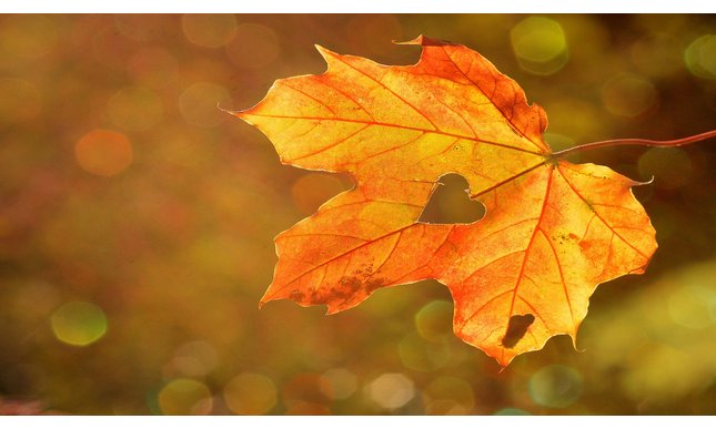 “Sole d'ottobre”: l'elogio dell'istante presente nella poesia di Ada Negri