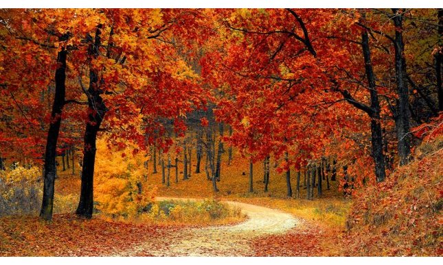 Equinozio d'autunno: quando cade quest'anno e cos'è