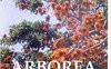 Arborea 