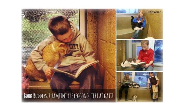Bambini, gatti e libri: il progetto Book Buddies