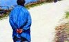 L'arte di andare a passeggio