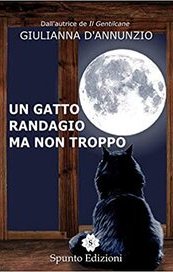 Un gatto randagio ma non troppo