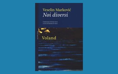 Noi diversi