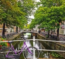 Olanda, no allo smartphone sulla bici: i giovani tornano a leggere libri al semaforo