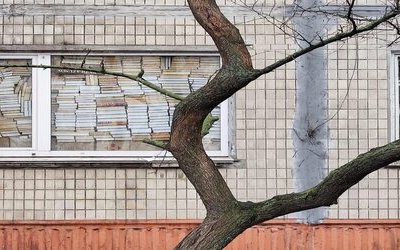 A Kiev un muro di libri contro le bombe: la vera storia dietro lo scatto 