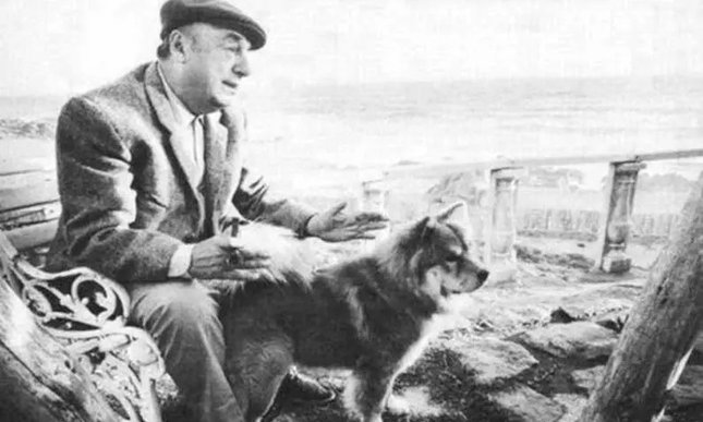 “Ode al cane”: la poesia di Pablo Neruda per la Giornata mondiale del cane