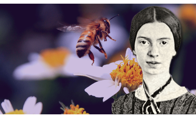 Emily Dickinson, la poetessa che parlava con le api
