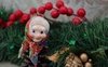 Libri da leggere: tre proposte Gallucci per il sacco della Befana