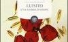 Luisito. Una storia d'amore