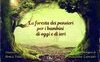 La foresta dei pensieri per i bambini di oggi e di ieri