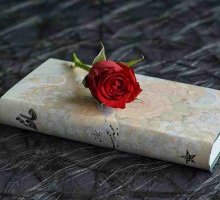 Premio Strega Poesia 2025: ecco i 12 libri candidati