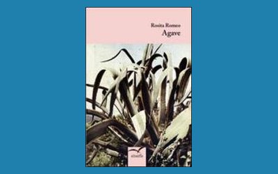 Agave