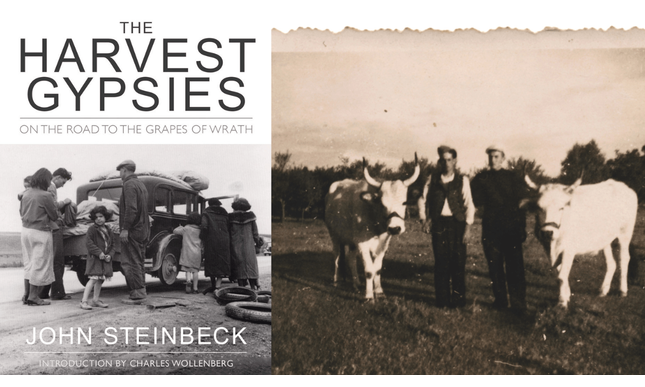 Il “Furore” di John Steinbeck nelle fotografie di Dorothea Lange: l'attualità di un reportage