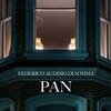 Pan