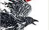 Nevernight. Mai dimenticare