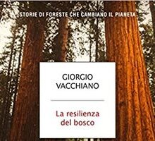 La resilienza del bosco