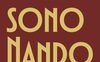 Io sono Nando. Una storia (s)conosciuta d'arte e pubblicità