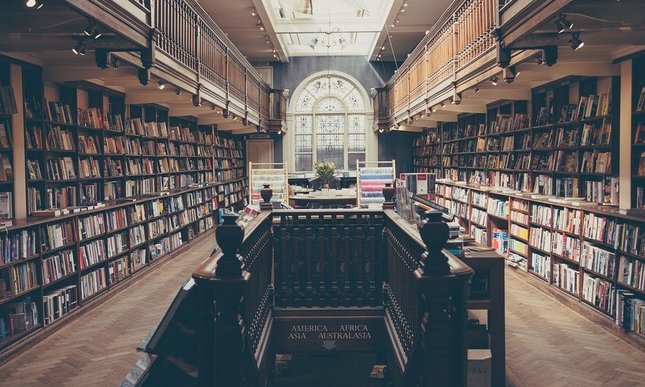 Come diventare bibliotecario: percorso di studi, requisiti e quanto si guadagna