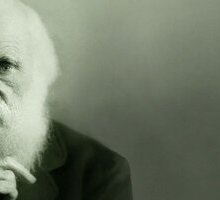 Darwin Day: 5 libri per ricordare Charles Darwin, padre dell'evoluzione della specie