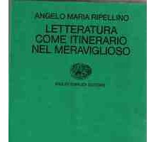 Letteratura come itinerario nel meraviglioso 