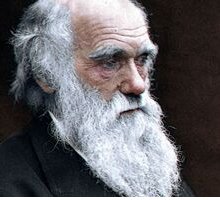 Charles Darwin: vita, viaggi e teoria dell'evoluzione