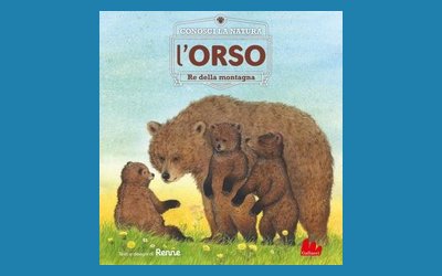 L'orso