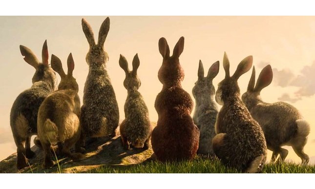 La collina dei conigli su Netflix: cast e quando esce