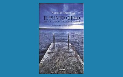 Il punto cieco. Benn, Walser, Melville, Dick, Lubitz. Letteratura e altri abissi
