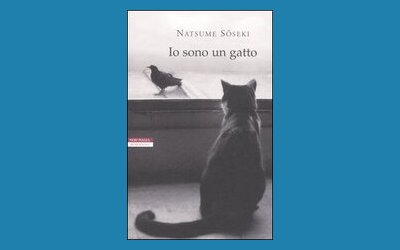 Io sono un gatto