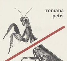 Mostruosa maternità
