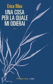 Una cosa per la quale mi odierai